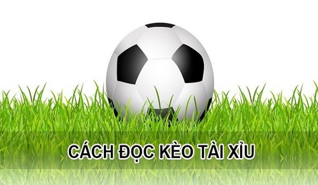 cách đọc kèo bóng đá tài xỉu