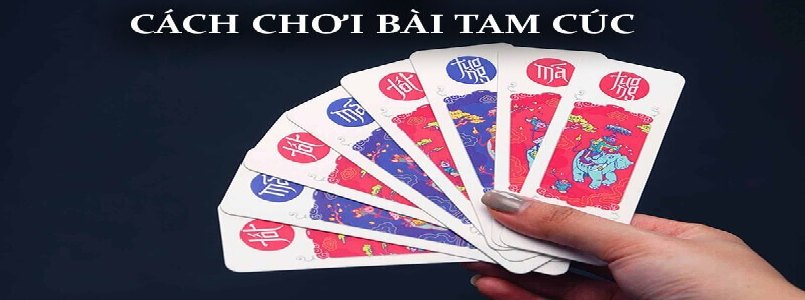 Chọn tam cúc là chọn đúng đường đến sự nghiệp 