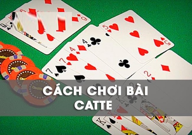 Các thuật ngữ cơ bản bạn cần biết