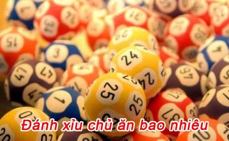 Đánh xỉu chủ ăn bao nhiêu?