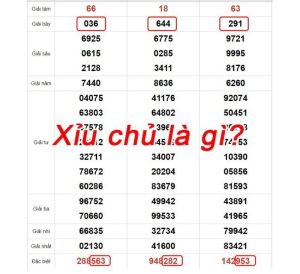 Xỉu chủ là gì?